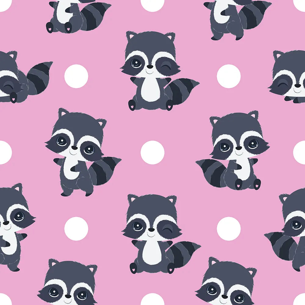 Where Raccoon Winks and Wiggles Begin