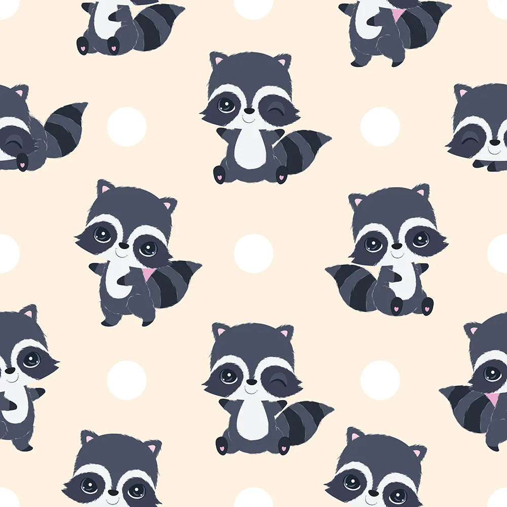 Where Raccoon Winks and Wiggles Begin