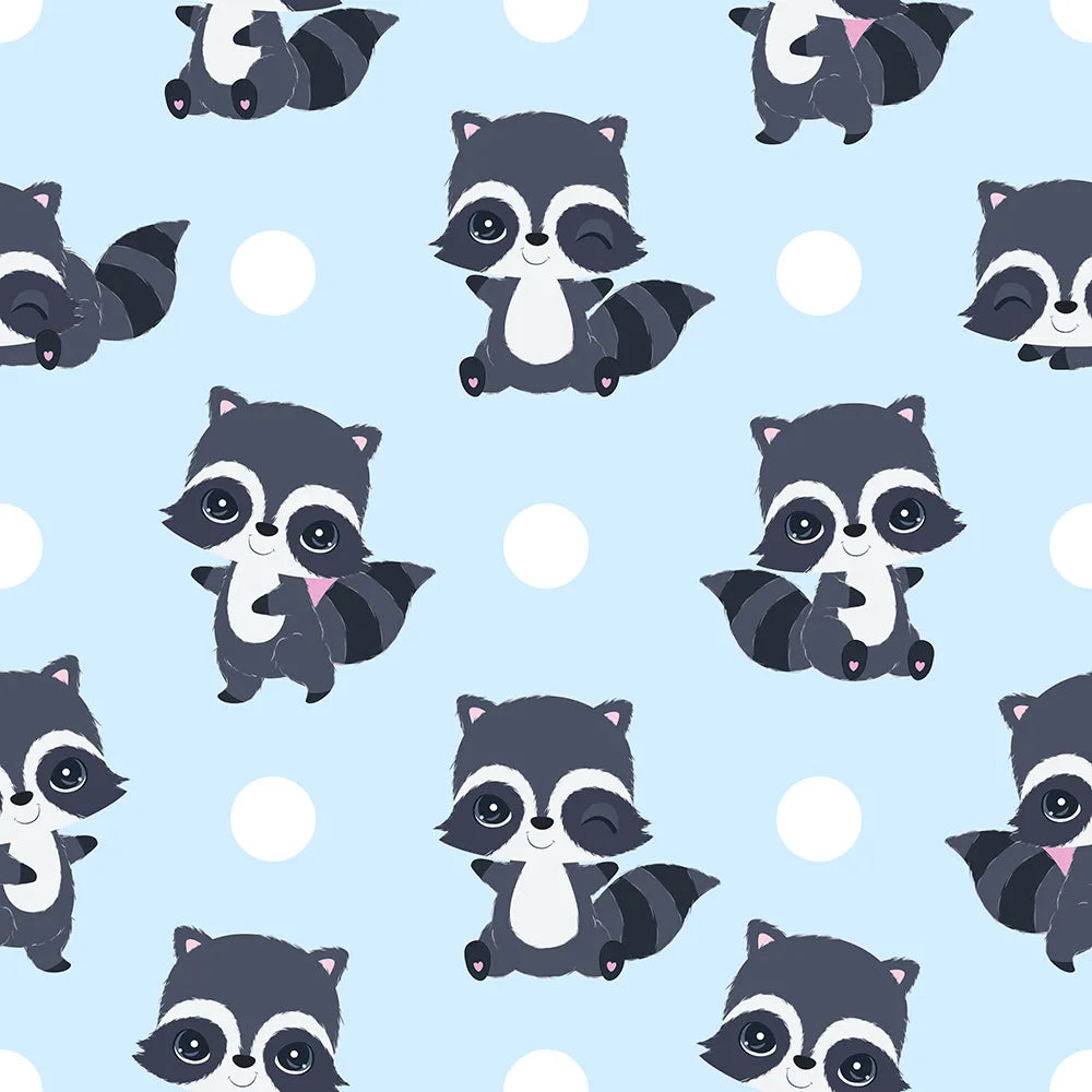 Where Raccoon Winks and Wiggles Begin