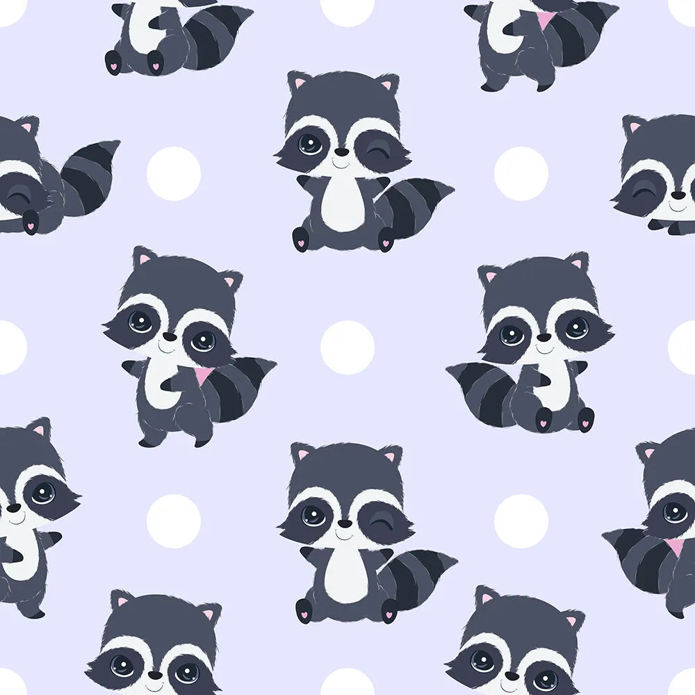 Where Raccoon Winks and Wiggles Begin