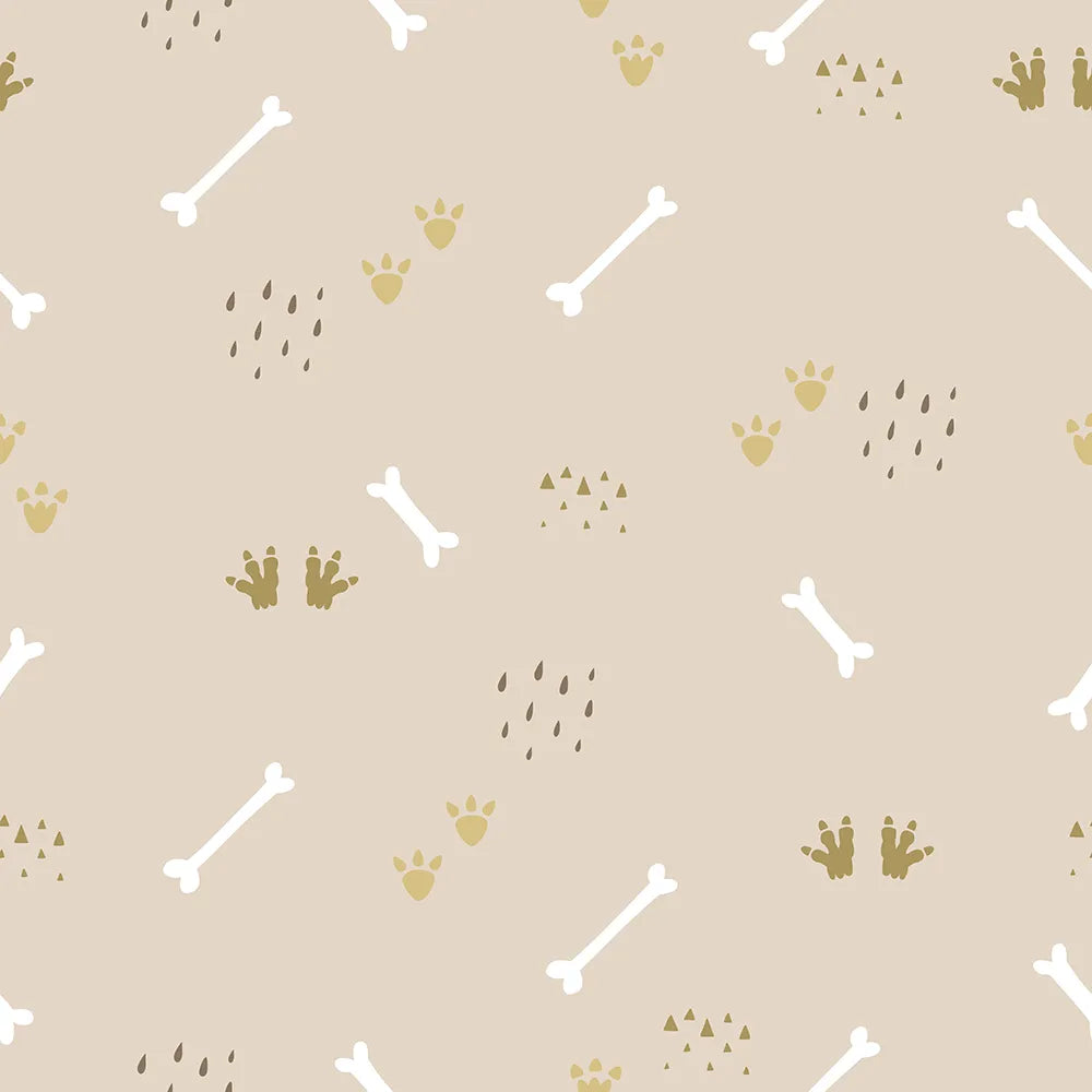 Where Little Dino Fossils Rest Among the Tracks