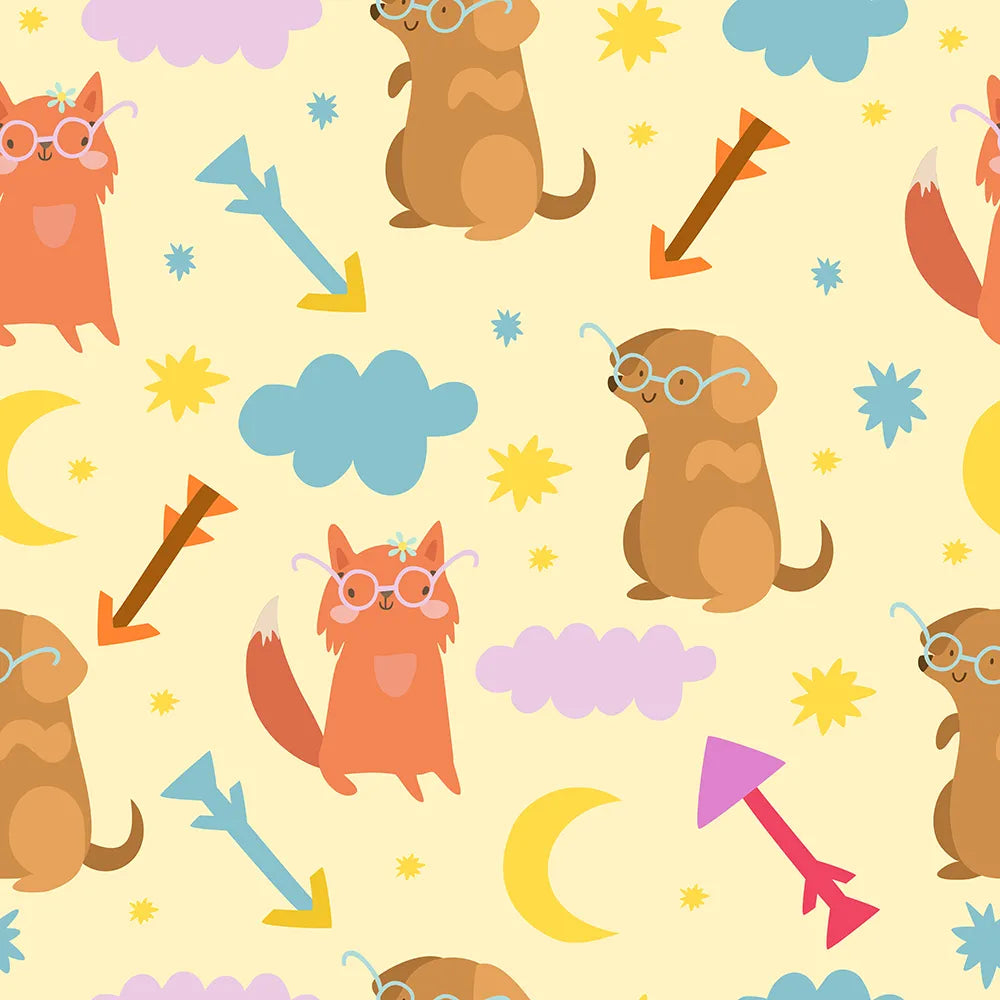 A Sky Full of Starlight and Stories