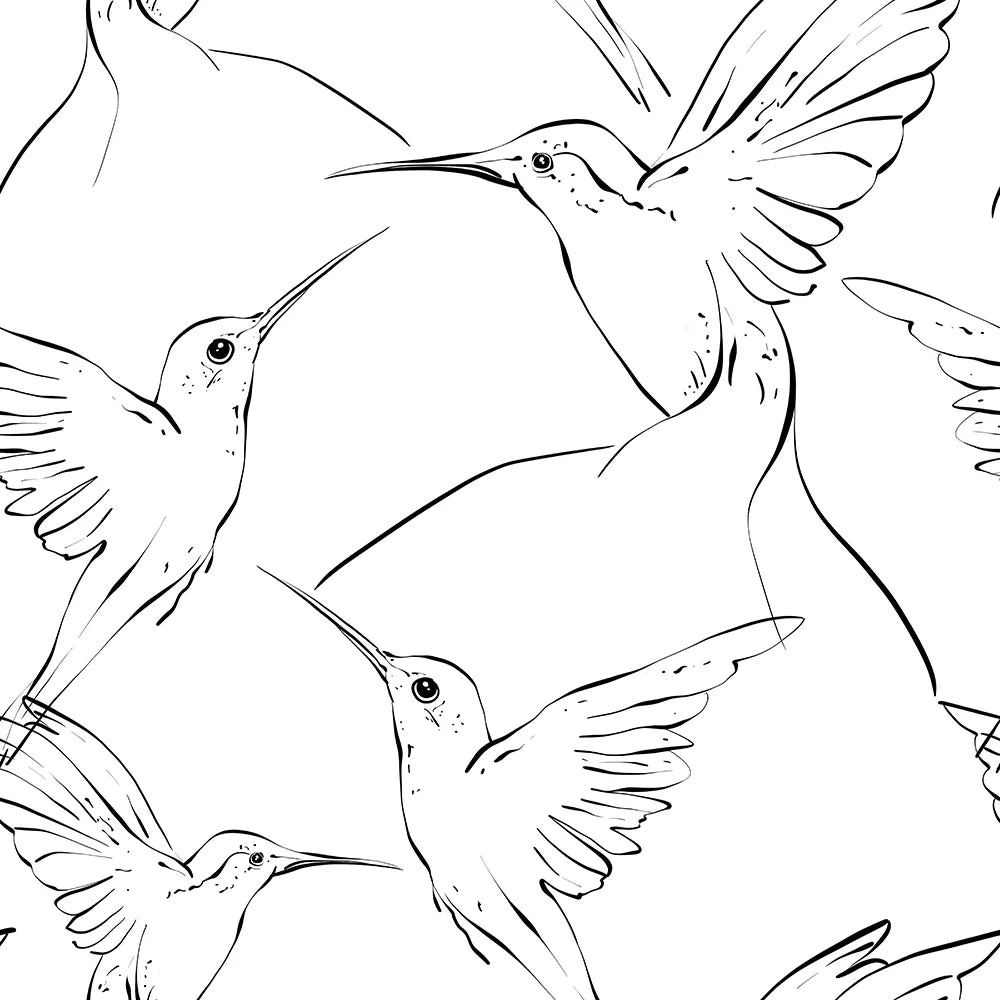 Where Quiet Wings Sketch Stories in the Air