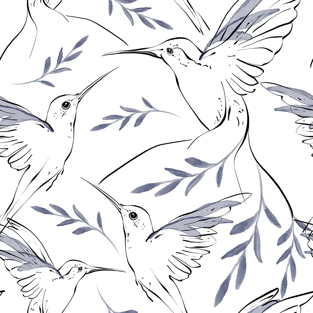 Where Elegant Hummingbirds Take Flight