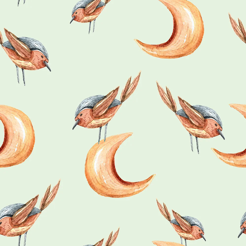 Where Birds Sing to the Mint Moonlight