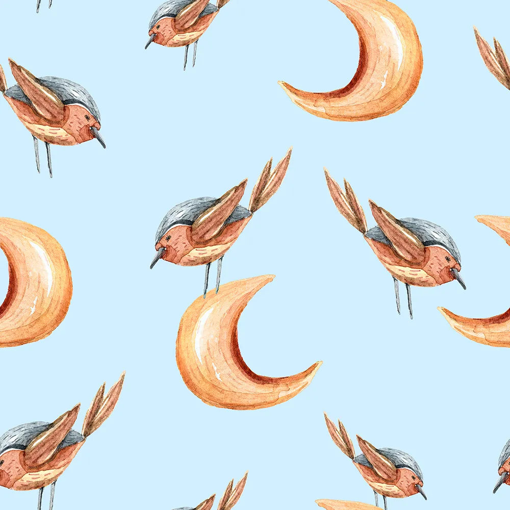 Where Robins Sing a Lullaby to the Moon