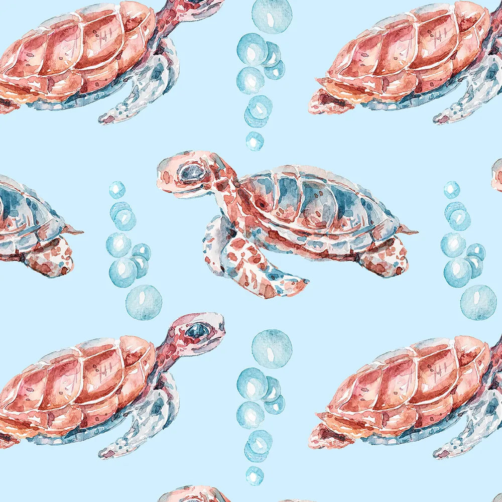 Where Little Turtles Glide Through the Water