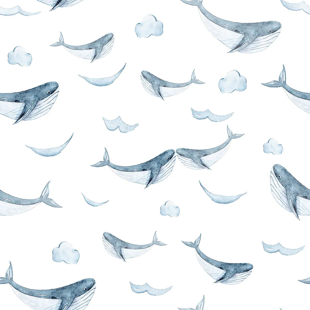Where Ocean Giants Soar Like Dreams