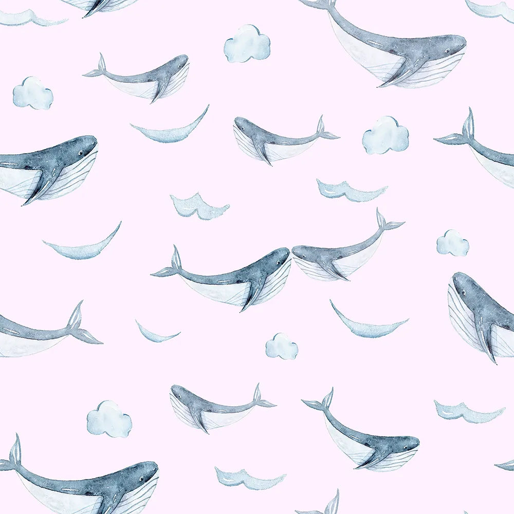Where Ocean Giants Soar Like Dreams