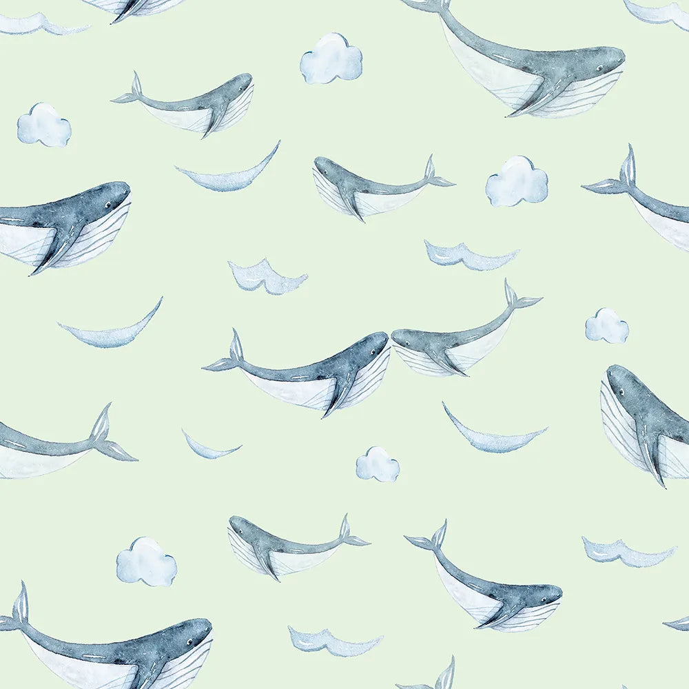 Where Ocean Giants Soar Like Dreams