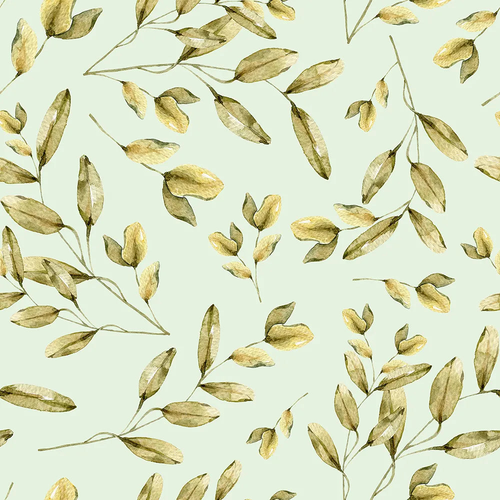 Where Olive Branches Gently Glow