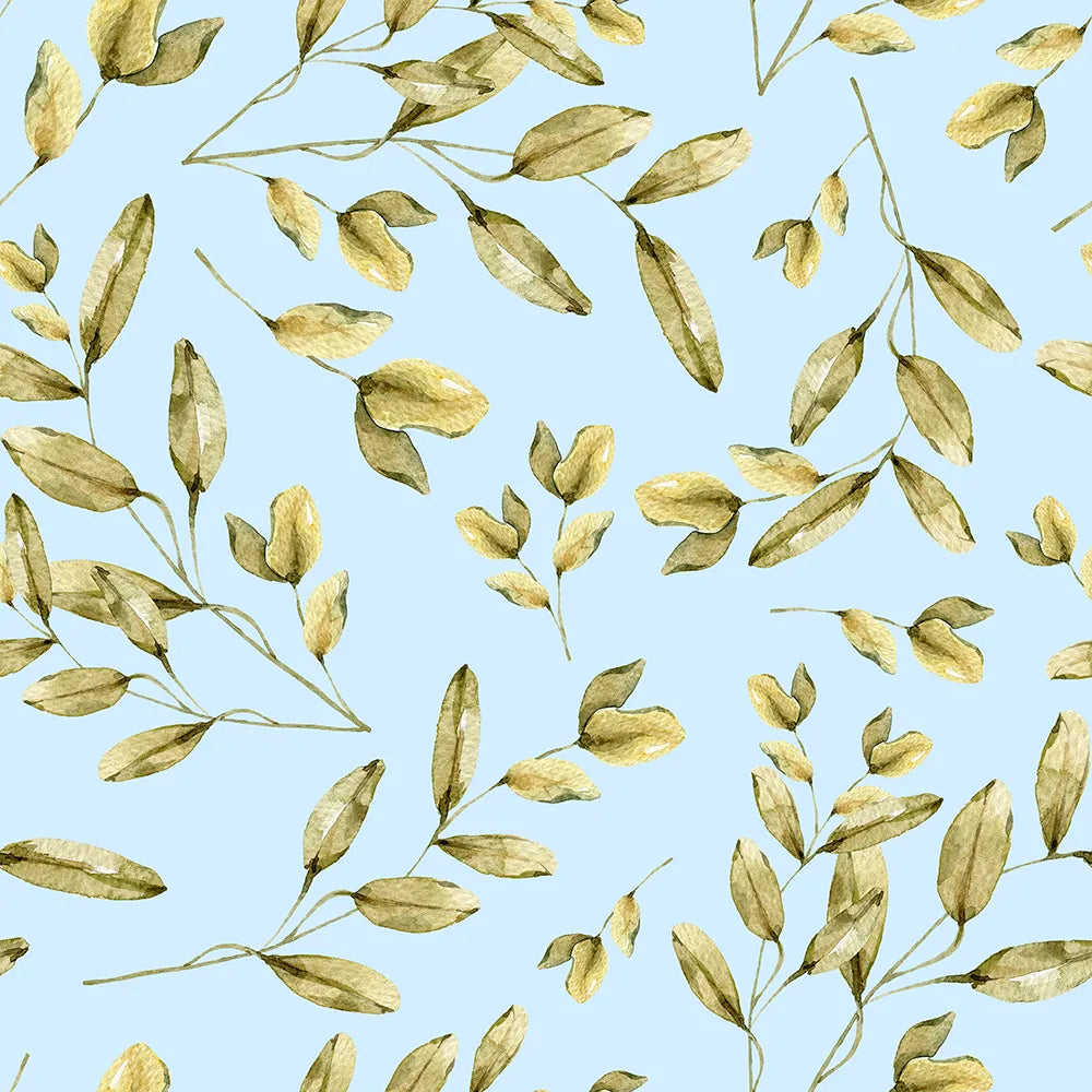 Where Olive Branches Gently Glow