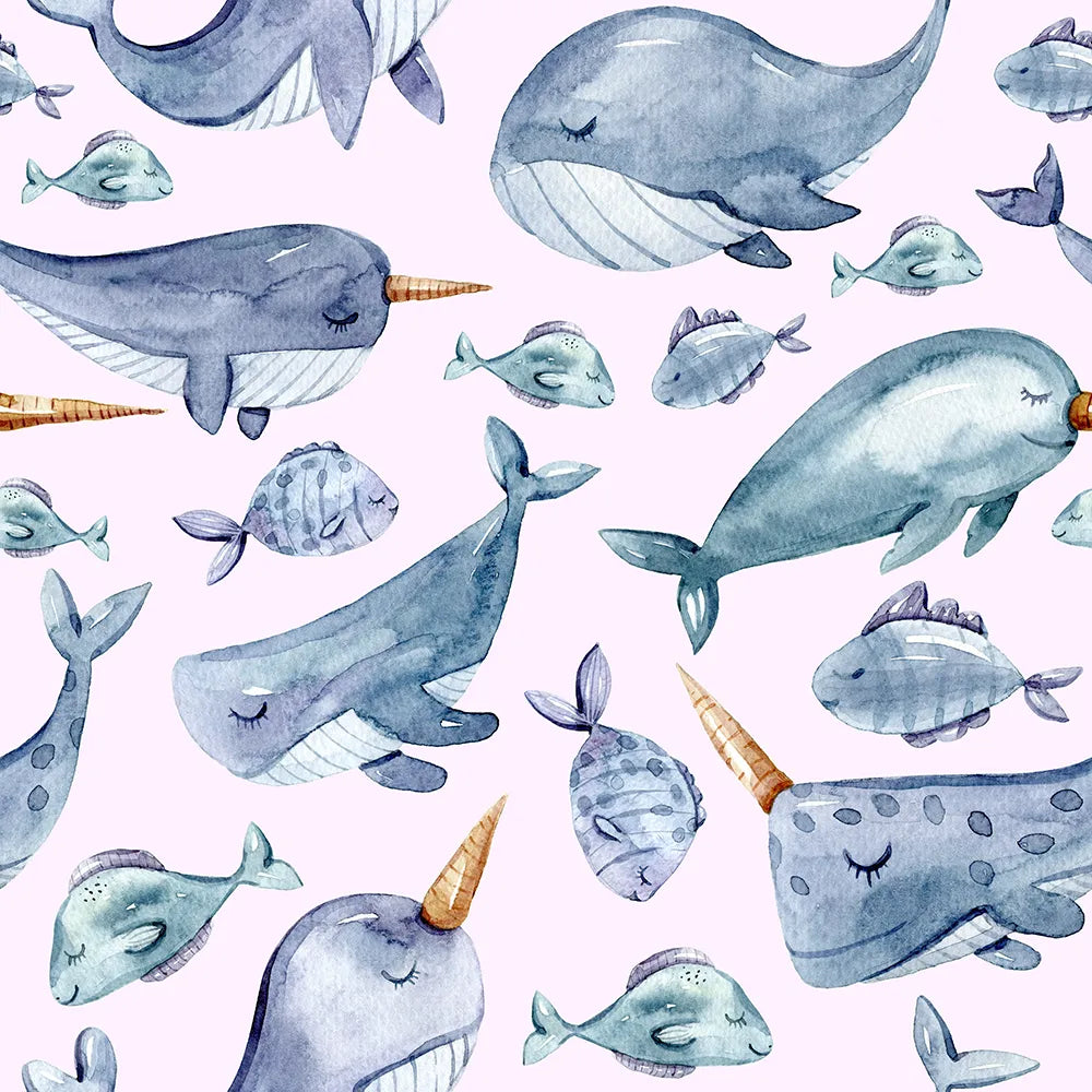 Where Gentle Narwhals Swim and Dream