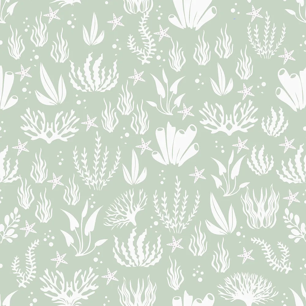 Where Sea Greens Meet Coral Whispers
