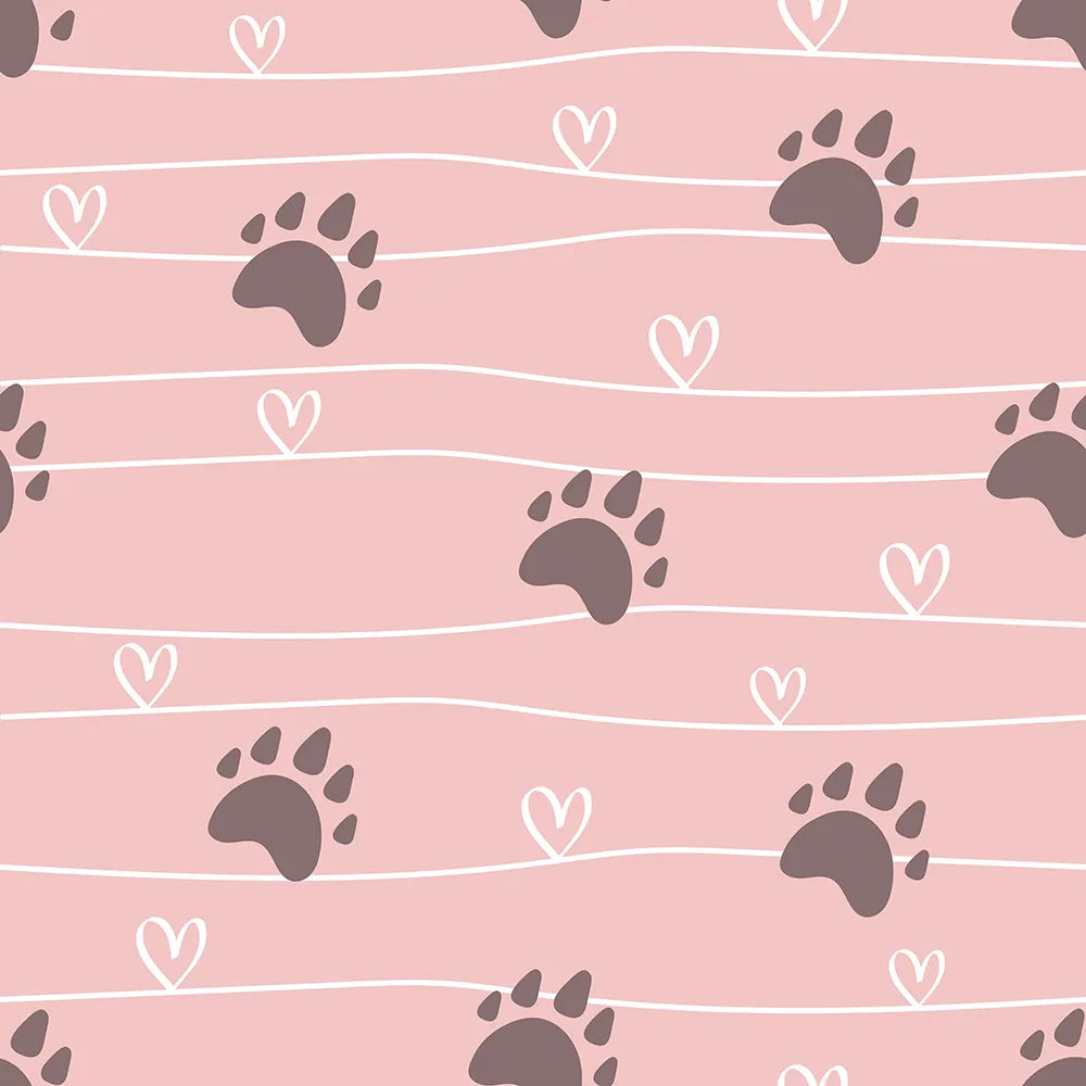 Follow the Path to a Bear Hug