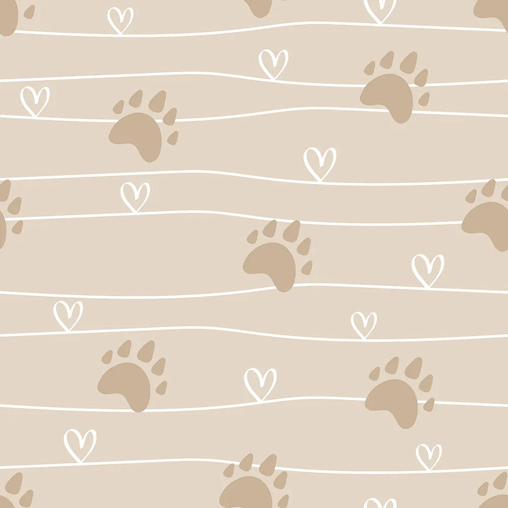 Follow the Path to a Bear Hug