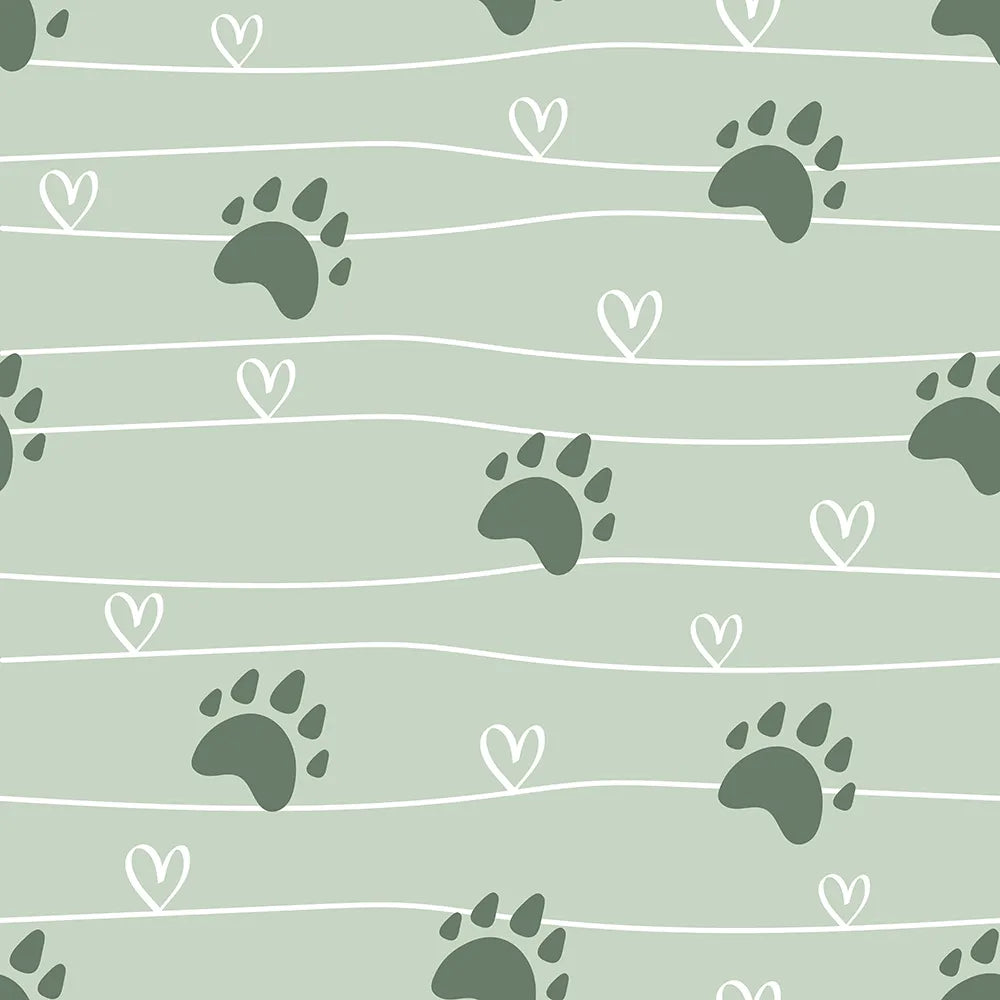 Follow the Path to a Bear Hug