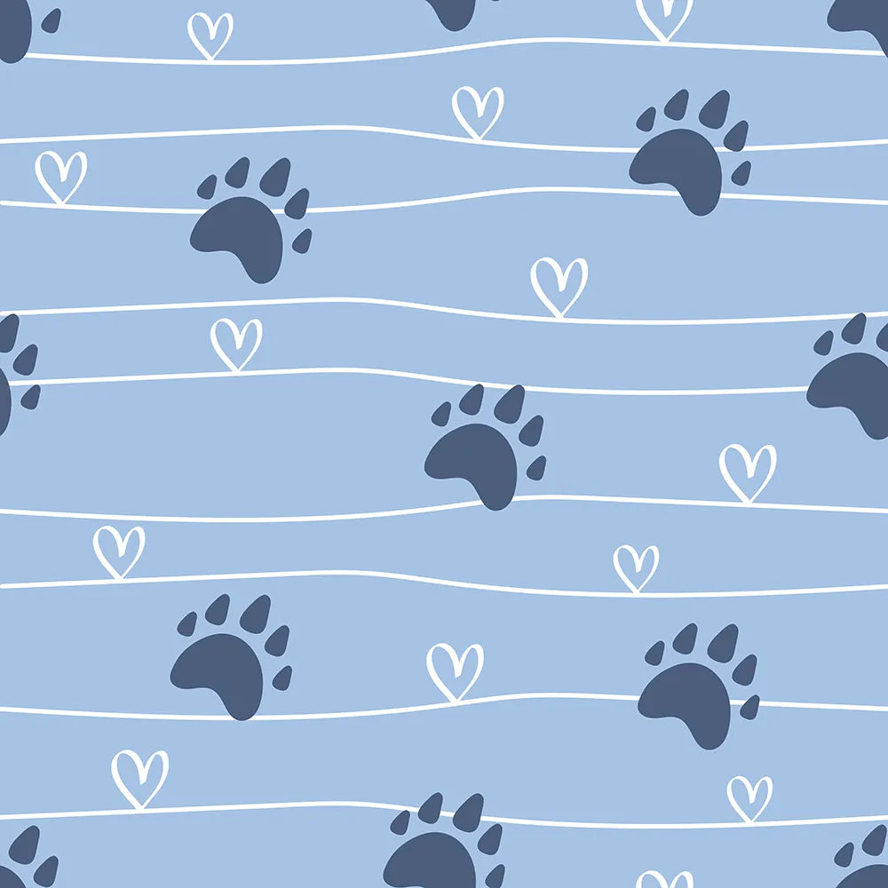 Where Blue Skies Meet Soft Pawprints