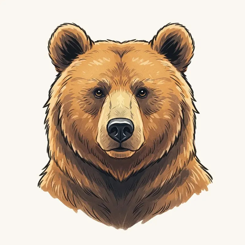 Bear Wallpaper and Mural