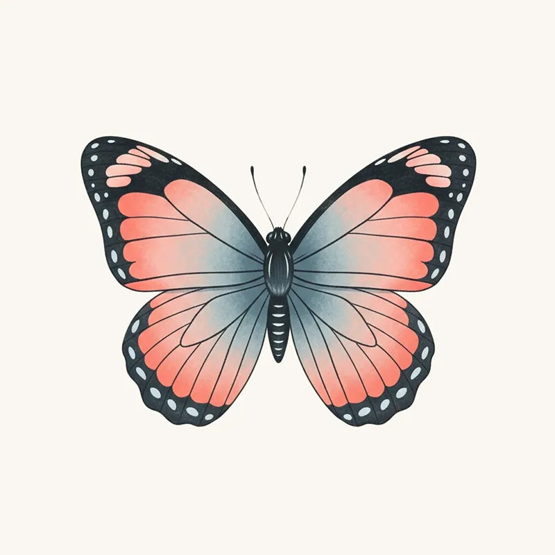 Butterfly Wallpaper and Mural