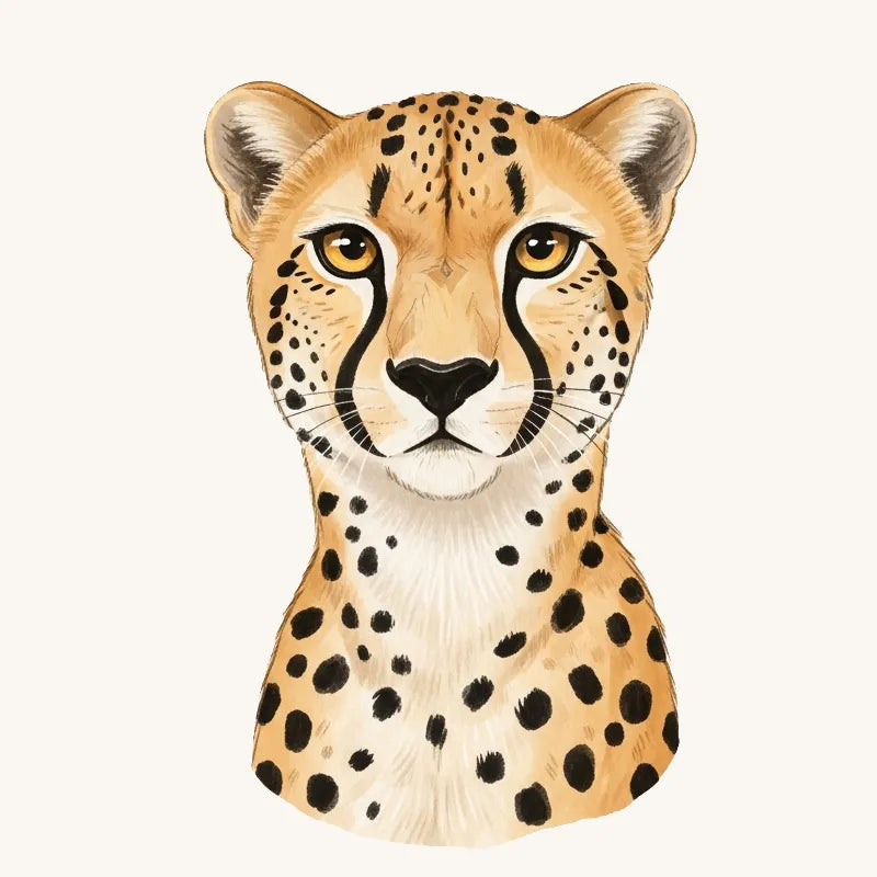Cheetah