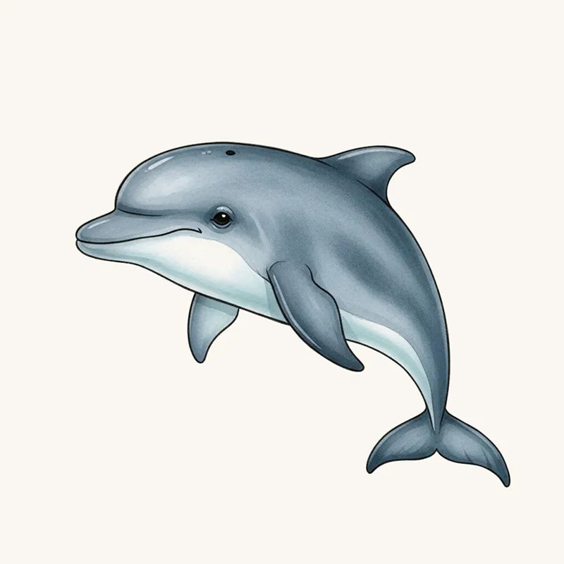 Dolphin Wallpaper and Mural