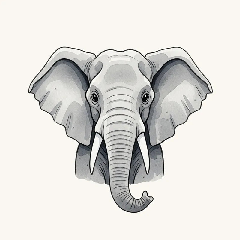 Elephant Wallpaper and Mural