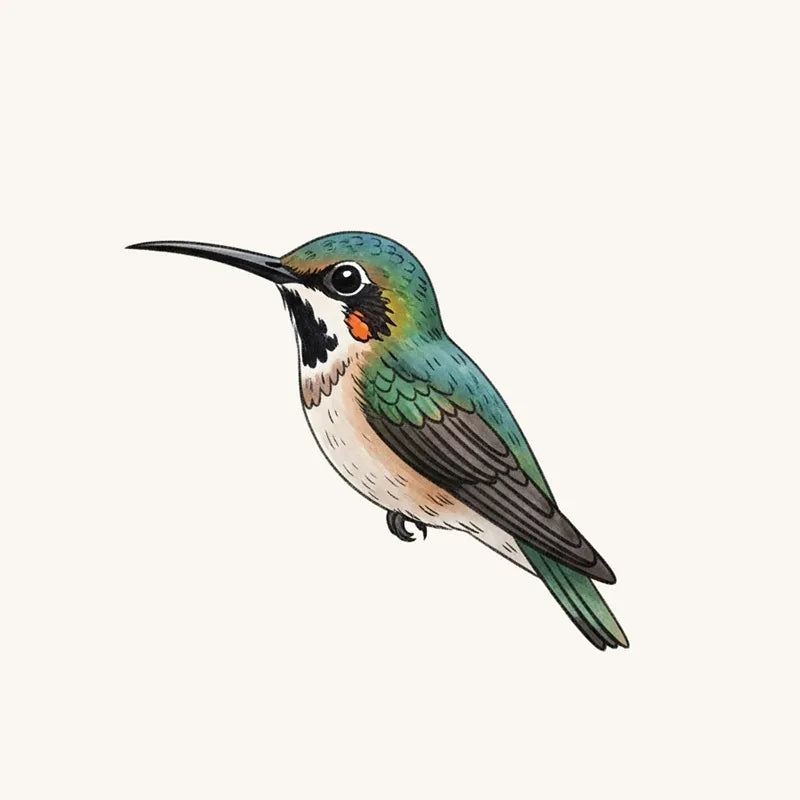 Hummingbird