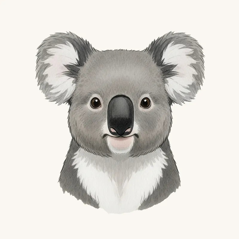 Koala Wallpaper and Mural