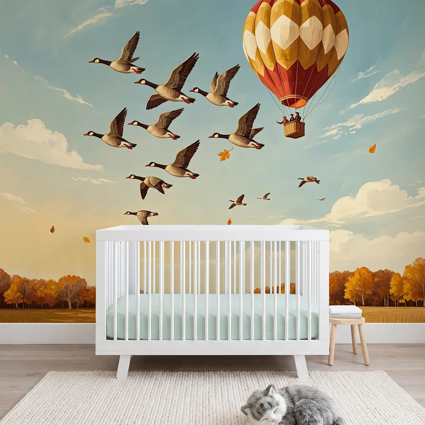 Clouds, Sky & Hot Air Balloons