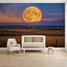 Seasonal & Celestial