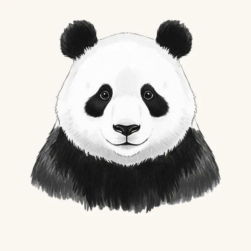 Panda Wallpaper and Mural