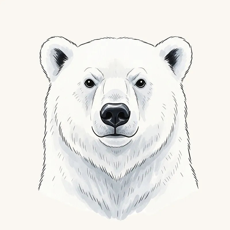 Polar Bear Wallpaper and Mural