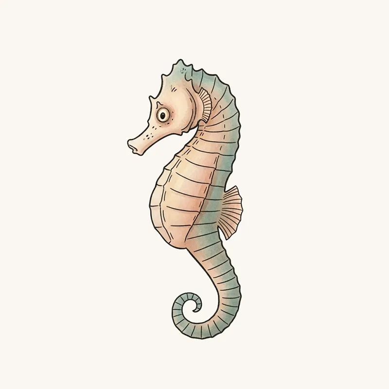 Seahorse