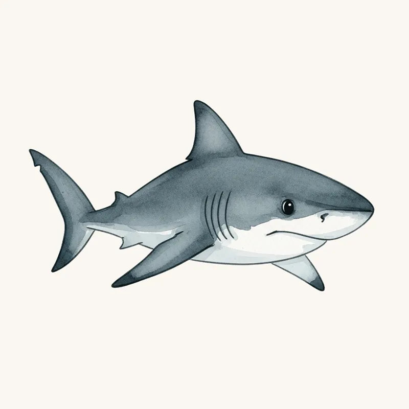 Shark Wallpaper and Mural