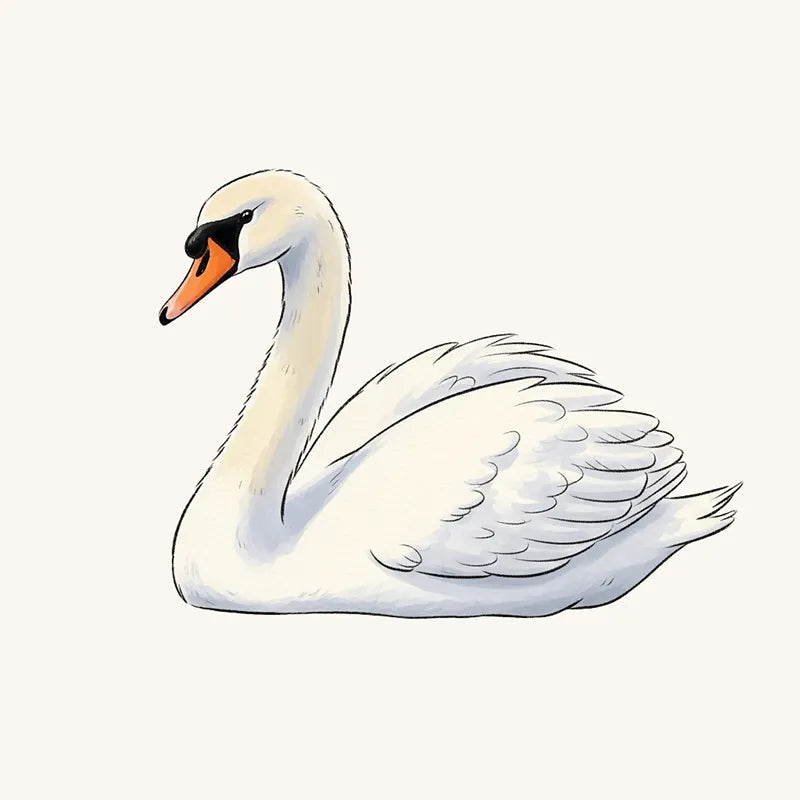 Swan