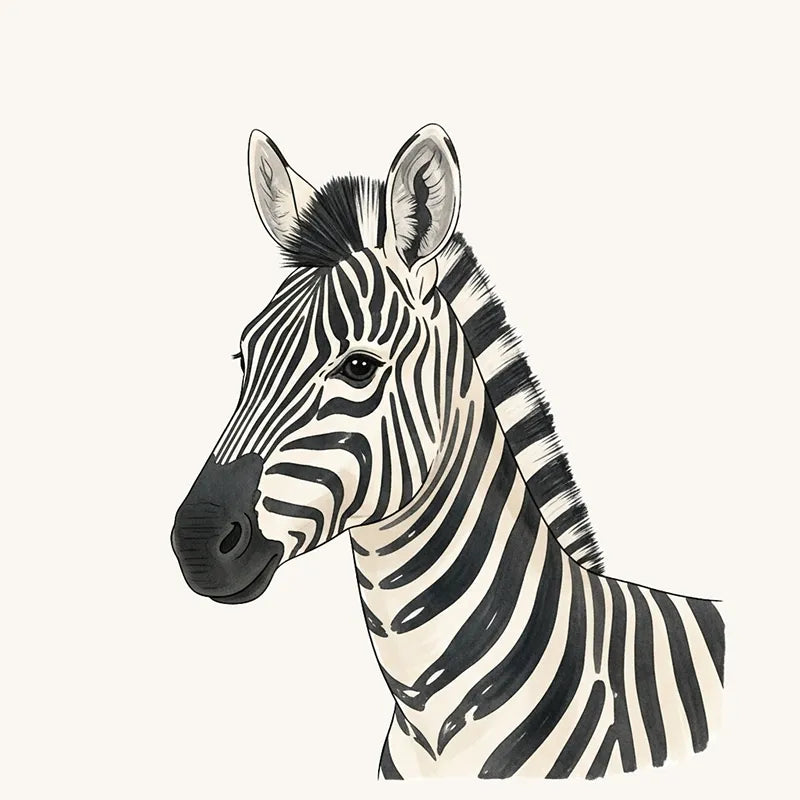 Zebra Wallpaper and Mural