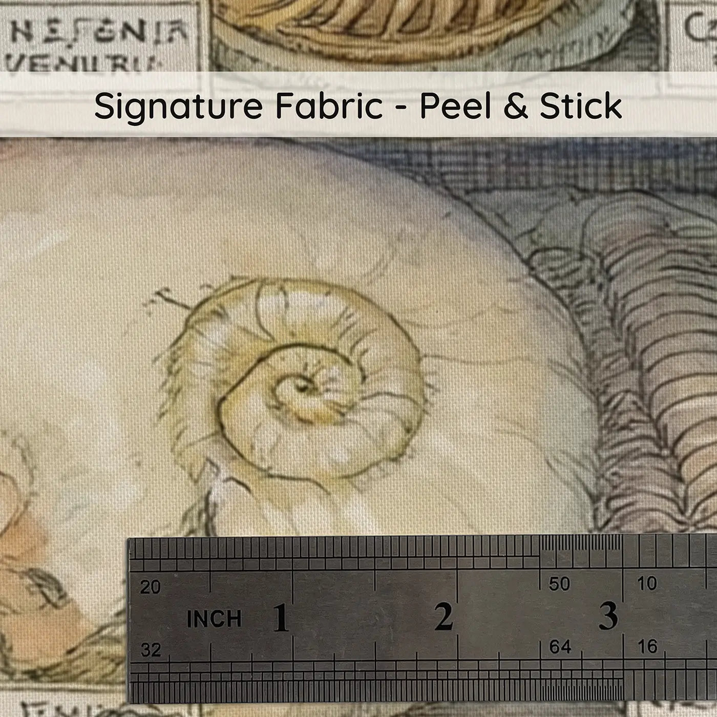 Fabric texture close-up of Fossil Collection Study Wainscoting Wallpaper by Whimsy Tots