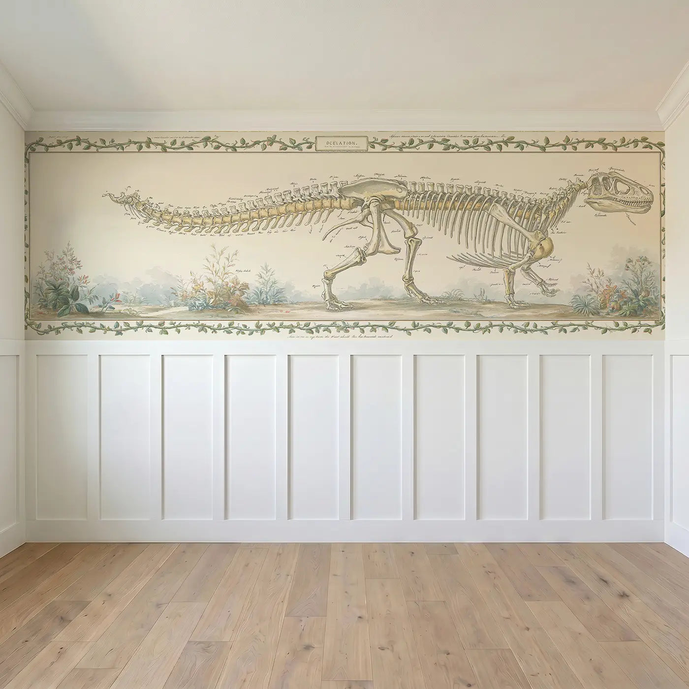 Full panel view of Skeleton Anatomy Display Toile Wainscoting Wallpaper by Whimsy Tots