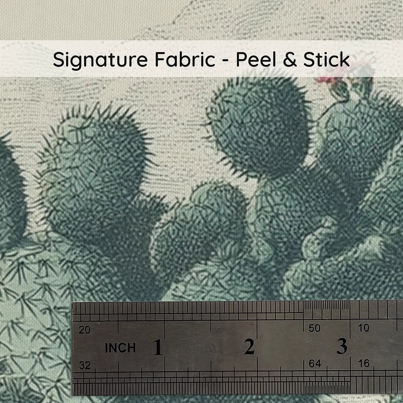 Fabric texture close-up of Cactus Botanical Desert Toile Wainscoting Wallpaper by Whimsy Tots