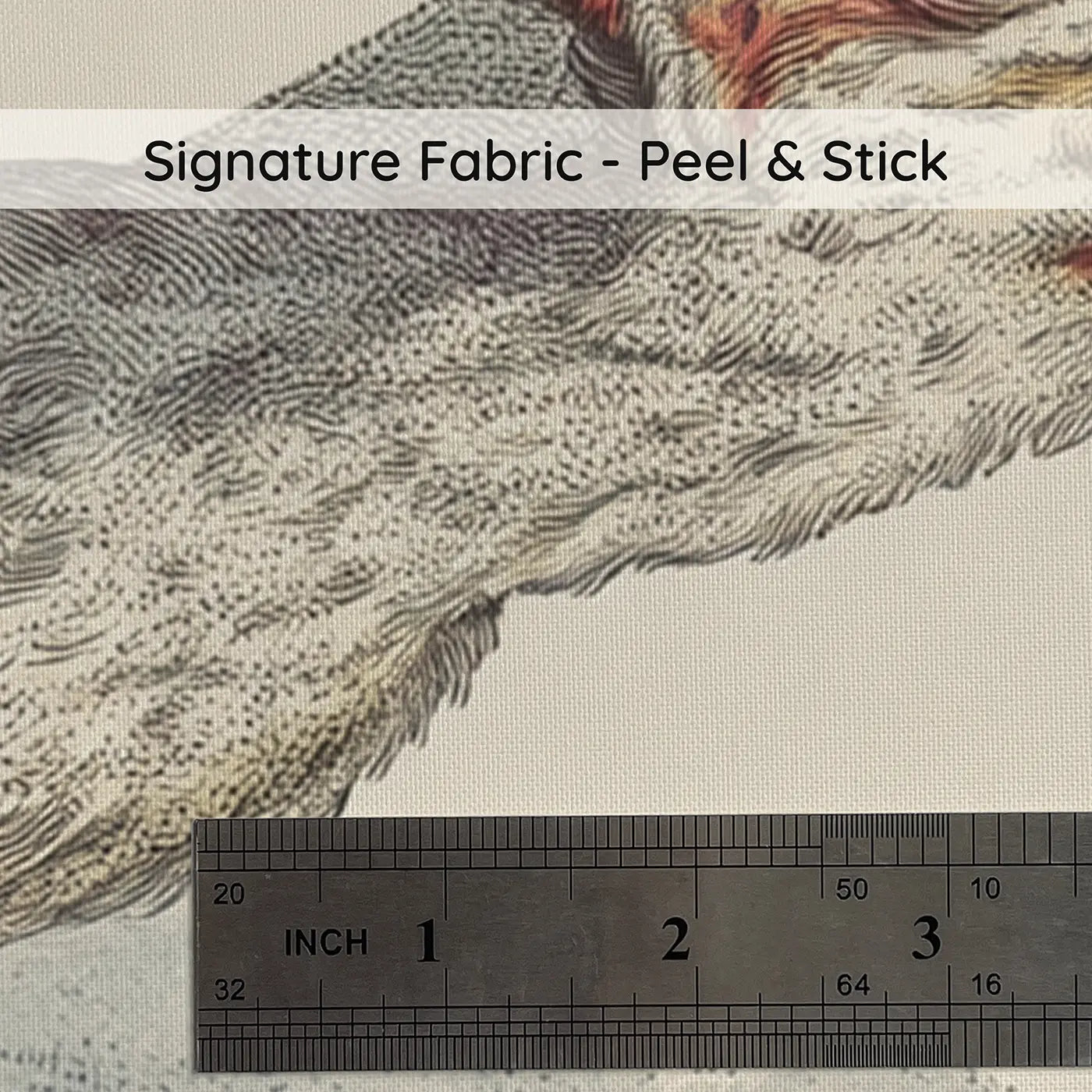 Fabric texture close-up of Pteranodon Cloud Scroll Wainscoting Wallpaper by Whimsy Tots