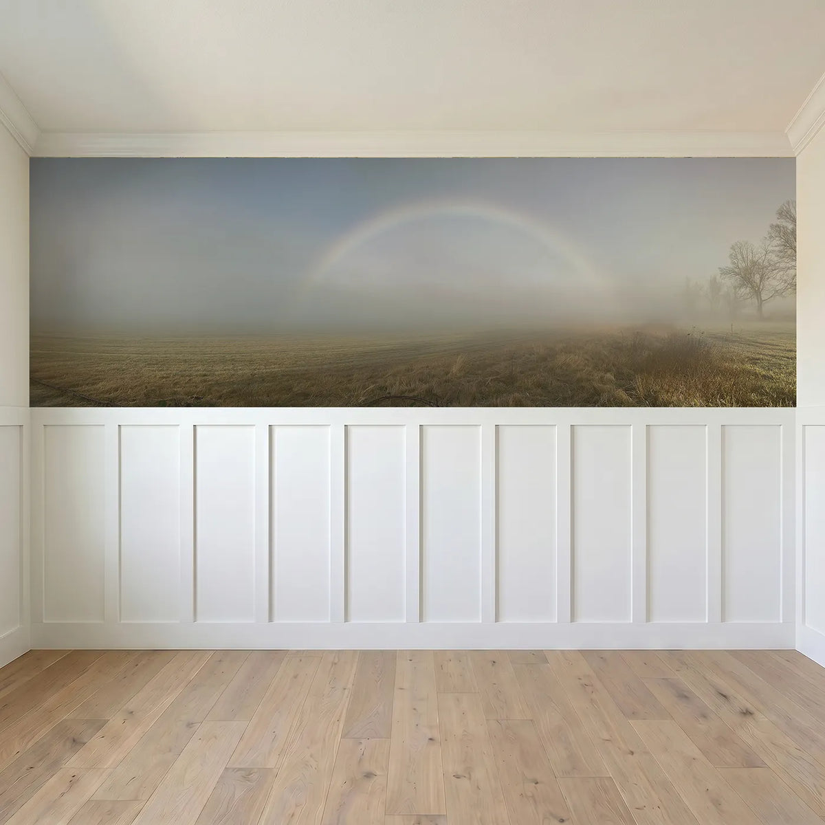 Full panel view of The White Fogbow Wainscoting Wallpaper by Whimsy Tots