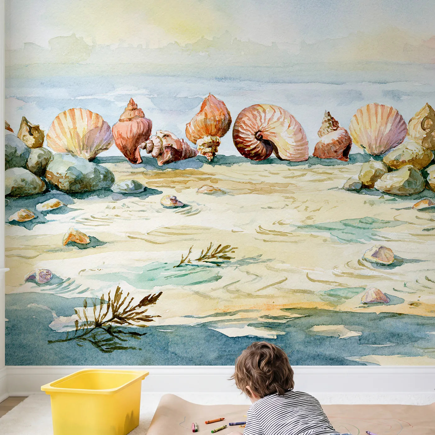 Child in nursery with Seashell Collection Study Wallpaper Mural by Whimsy Tots