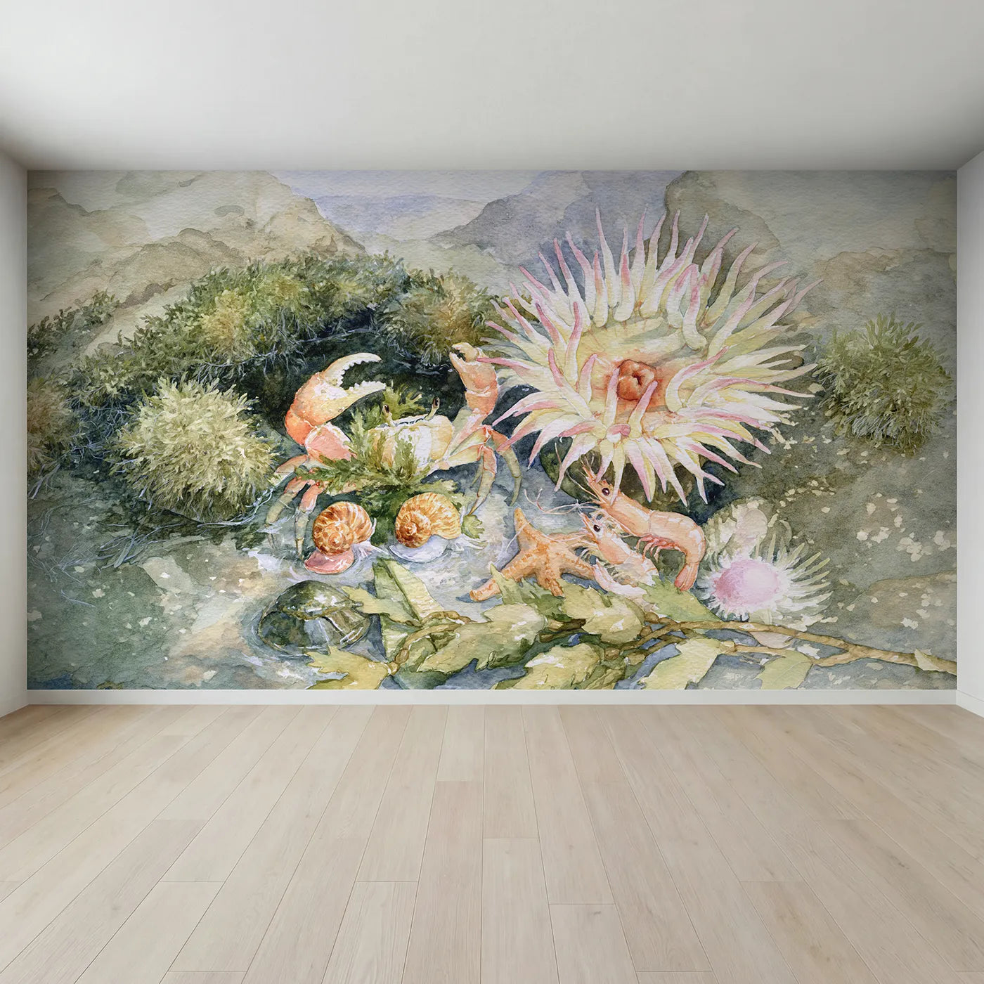 Full view of The Tide Pool Tour Guide Wallpaper Mural by Whimsy Tots
