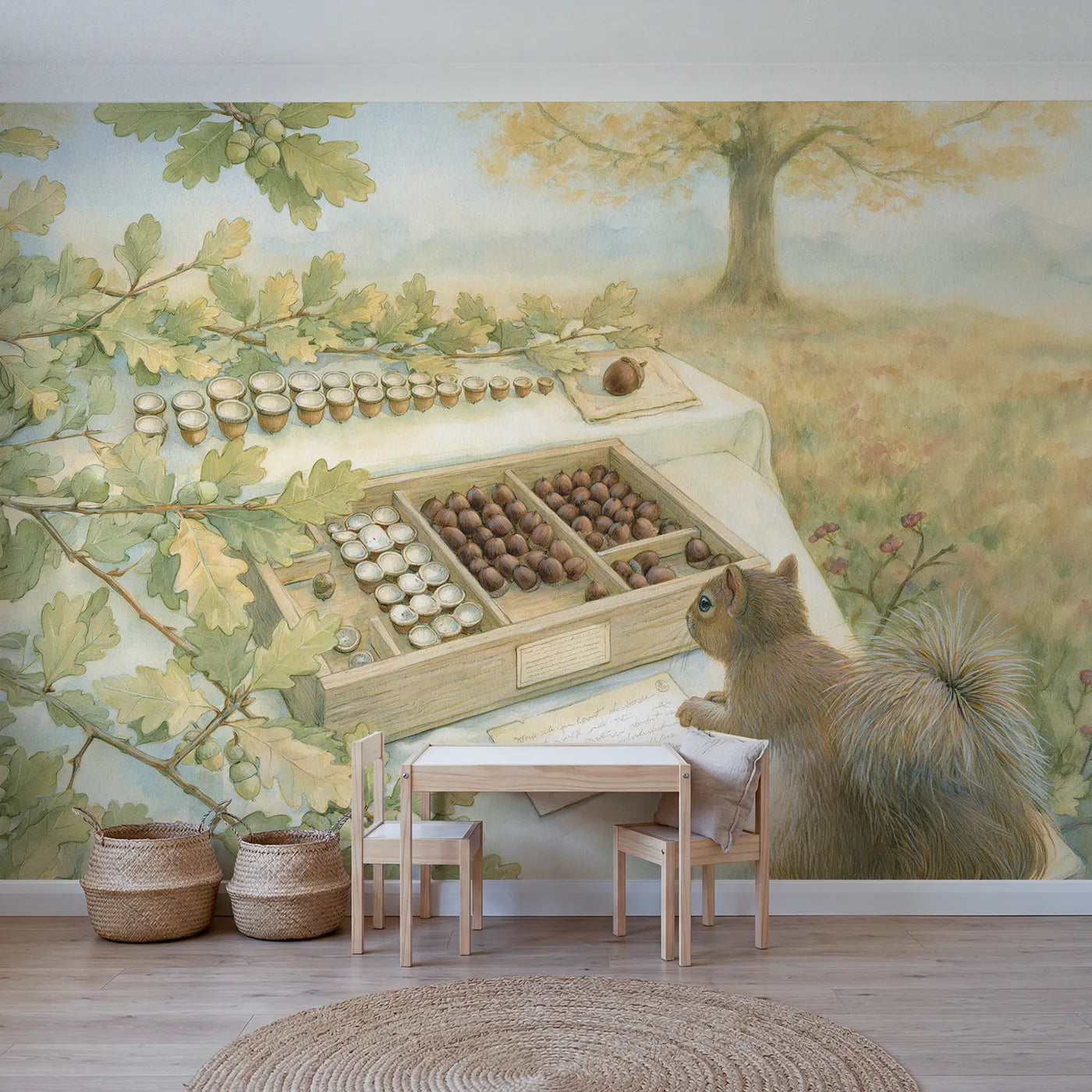Storybook acorn collection sorted into graded rows, mural for a big-kid bedroom by Whimsy Tots