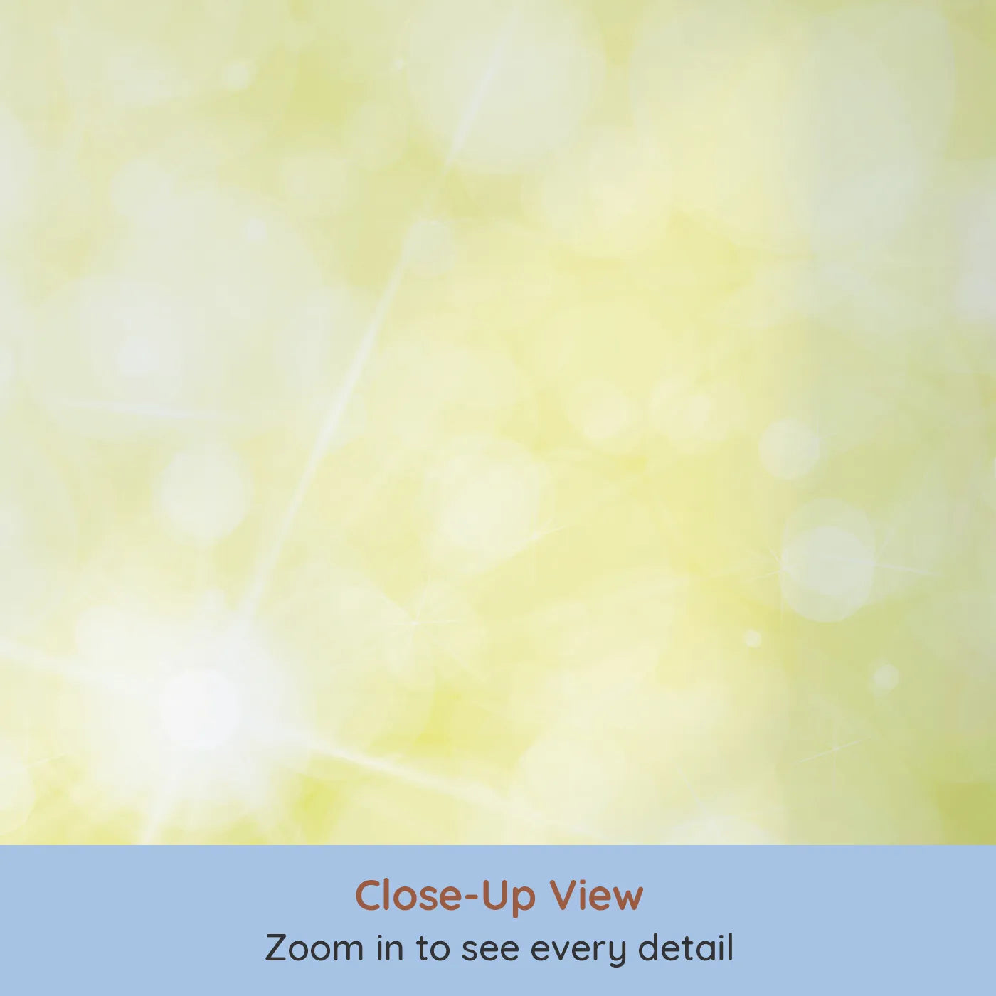 Close-up view of Whimsy Tots' Summer Daisy Meadow Wall Mural (Turn Their Room into a Field of Sunshine and Smiles).Gender-Neutral