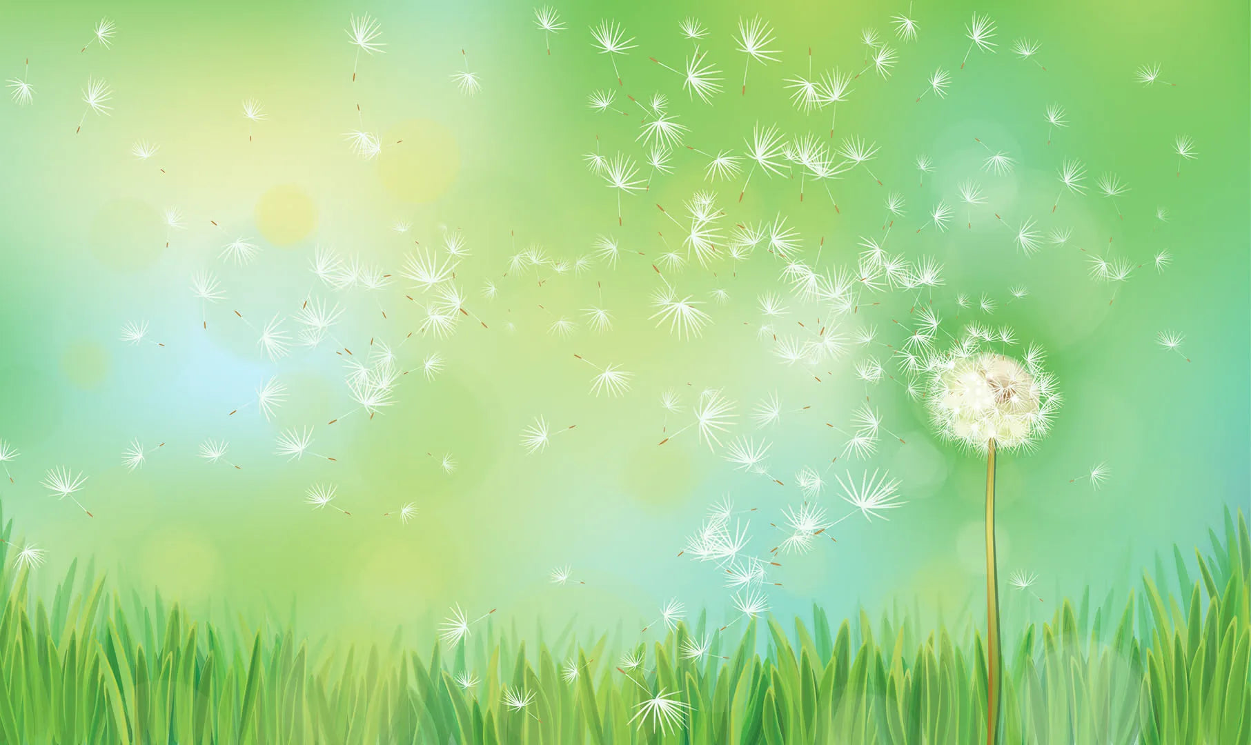 Where Every Seed is a New Beginning