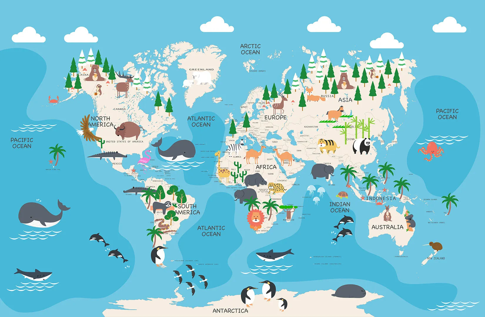 An Explorer's Guide to the Animal Kingdom