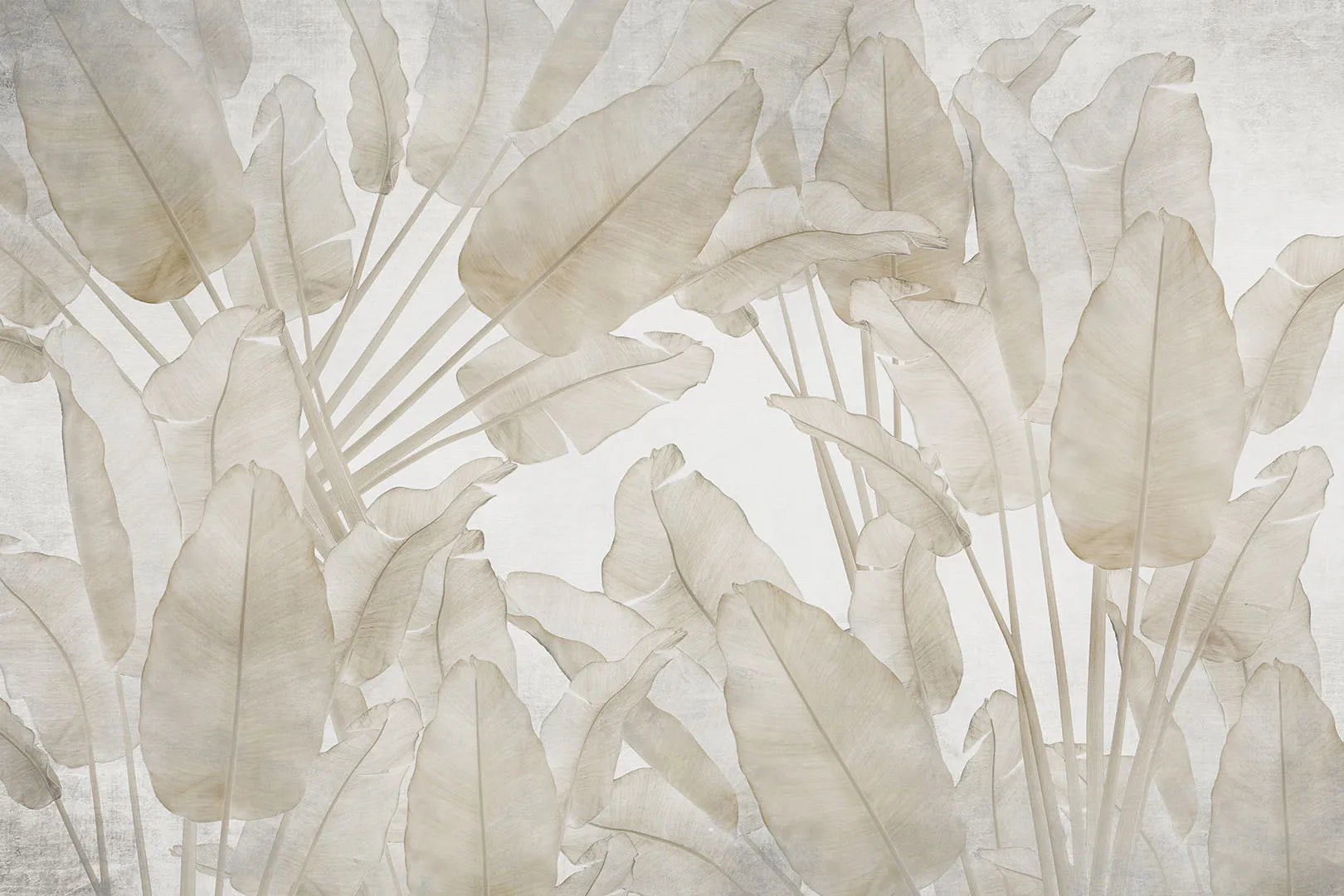 A Place of Calm, Light, and Understated Tropical Beauty