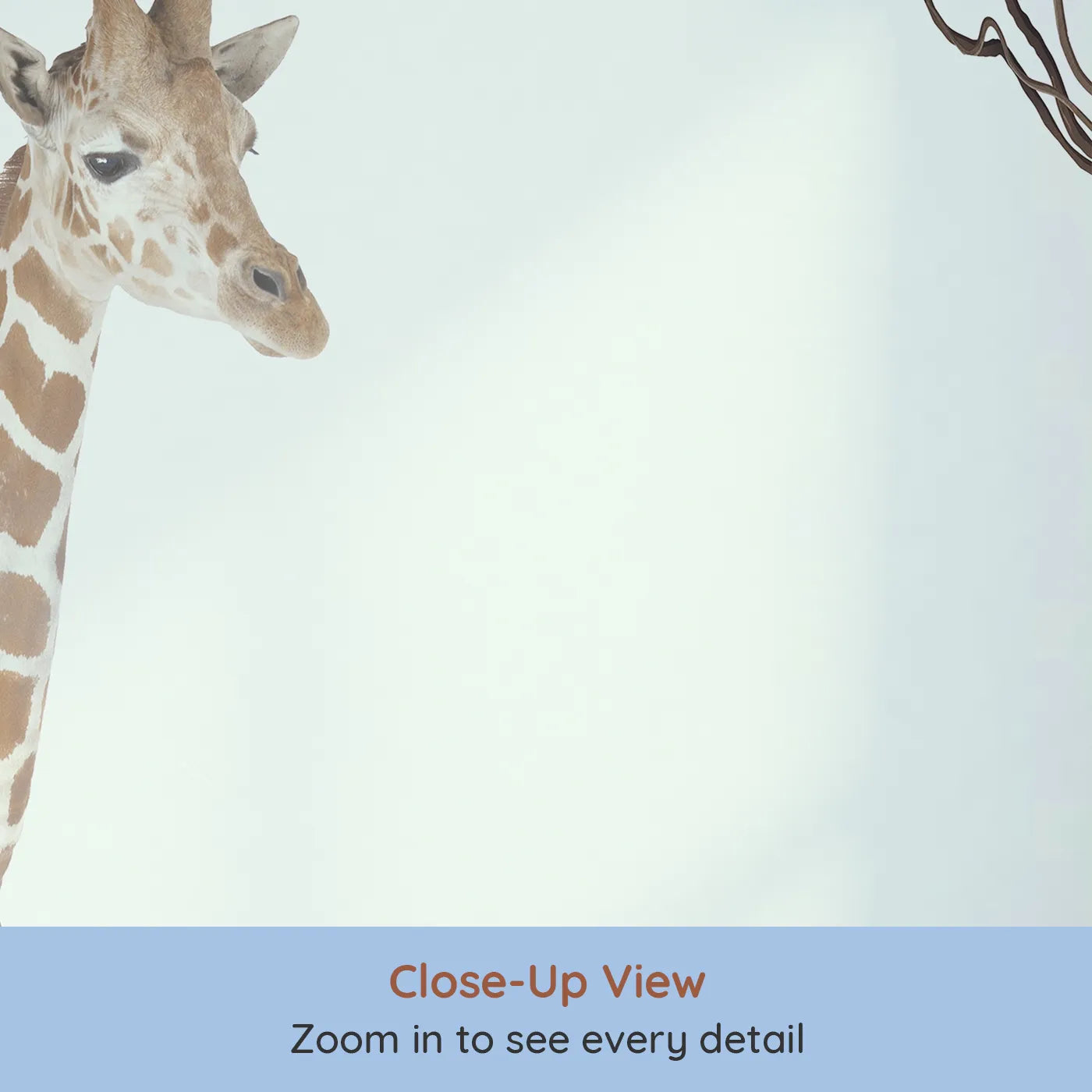 Close-up view of Whimsy Tots' Realistic Safari Stroll Wall Mural (Turn Their Room into a Lifelike Jungle Expedition).Gender-Neutral